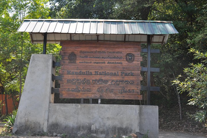 Kaudulla National Park Entrance Ticket - Photo 1 of 8